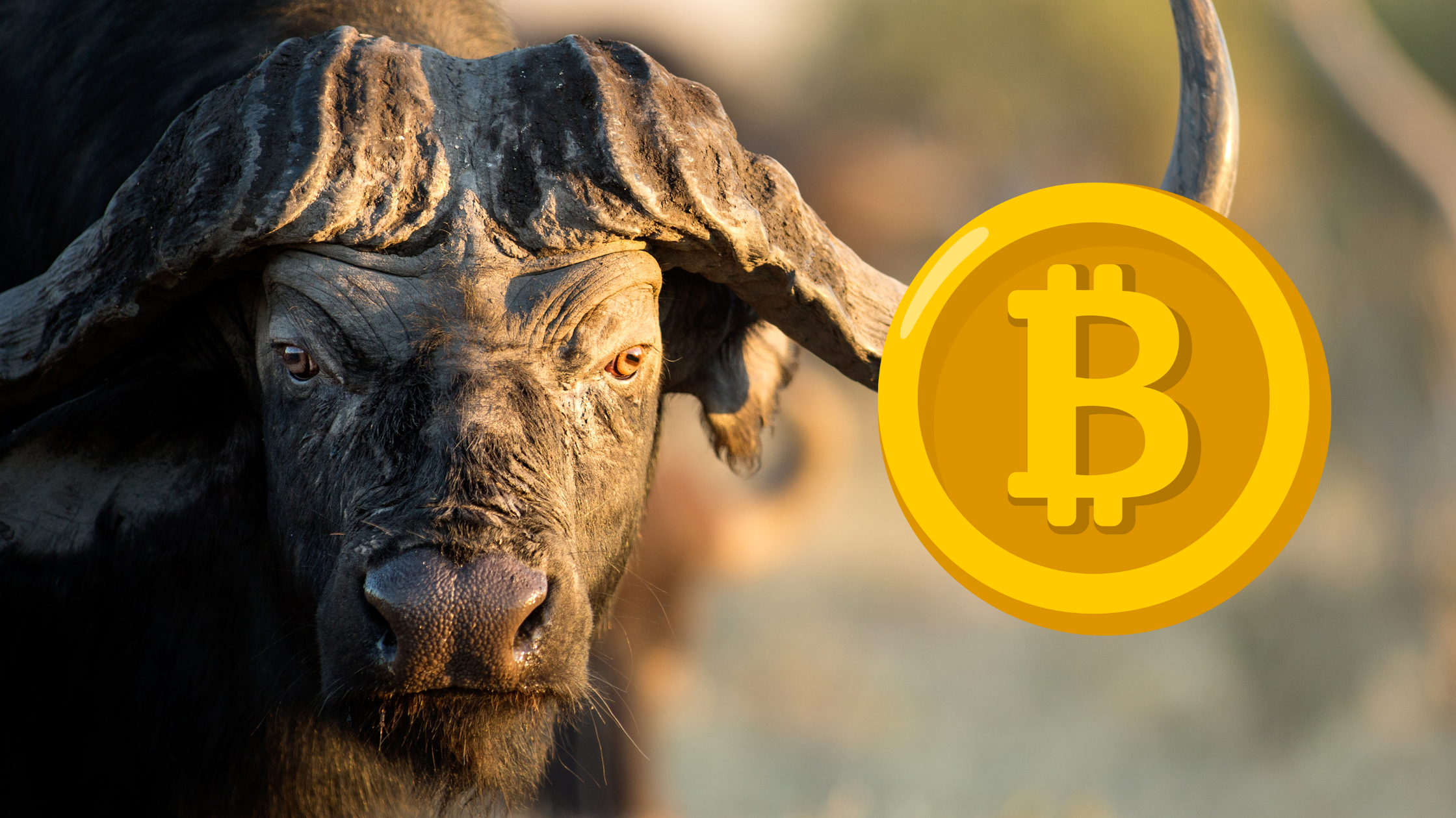 How To Create Your Own Crypto Guide